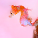 Image: TianHong Wang/UPY 2018